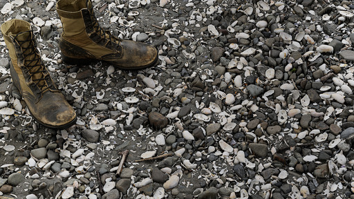 Shell Pebble preview 1