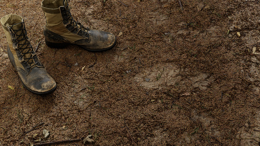 Needle Soil preview 1