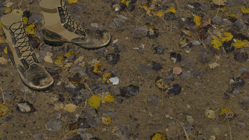 Park Soil preview 2