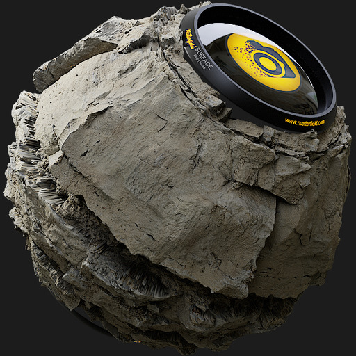 Convulsion Road Mudstone