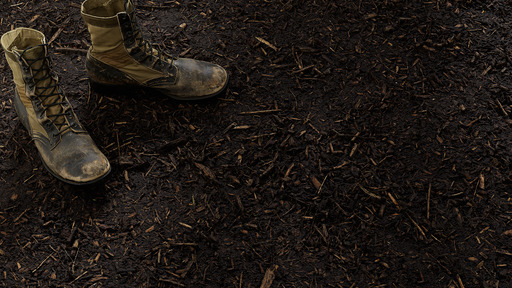 Bark Mulch preview 1
