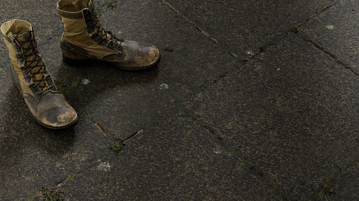 Mossy Pavers B preview 1