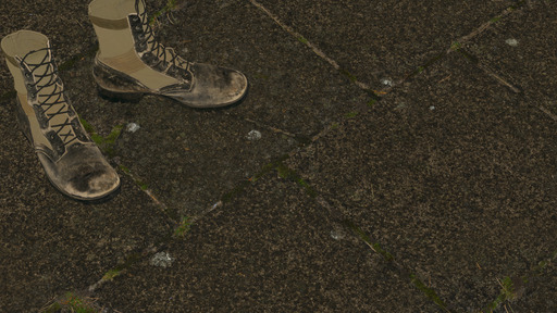 Mossy Pavers B preview 2
