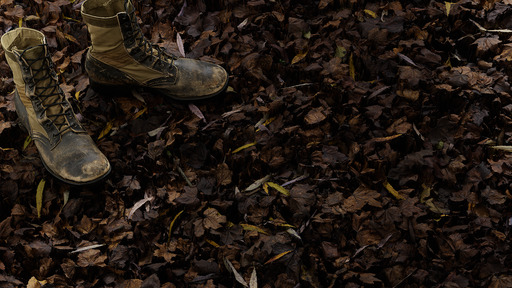 Leaf Carpet preview 1