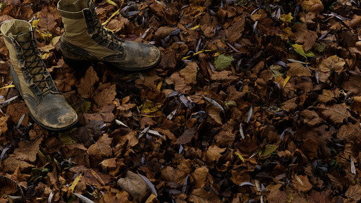 Leaf Carpet B preview 1