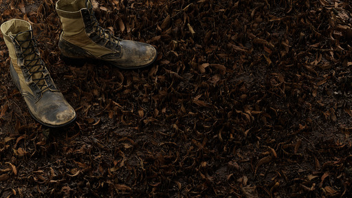 Autumn Litter preview 1
