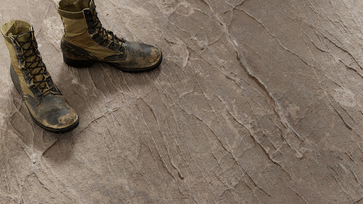 Entrada Ashstone preview 1