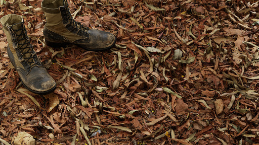 Autumn Litter preview 1