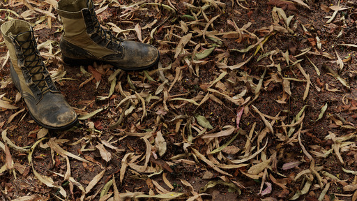 Leafy Ground preview 1