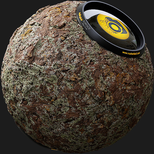 Lichen Stone