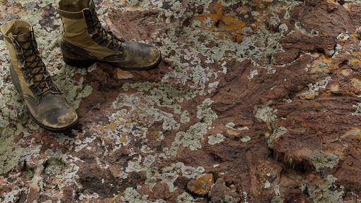 Lichen Stone preview 1