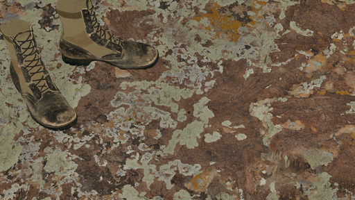 Lichen Stone preview 2