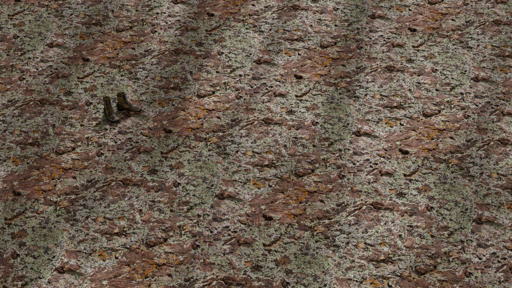 Lichen Stone preview 3