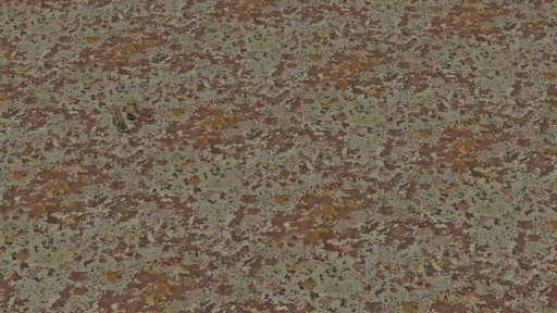 Lichen Stone preview 4