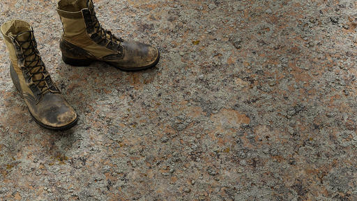 Lichen Boulder preview 1