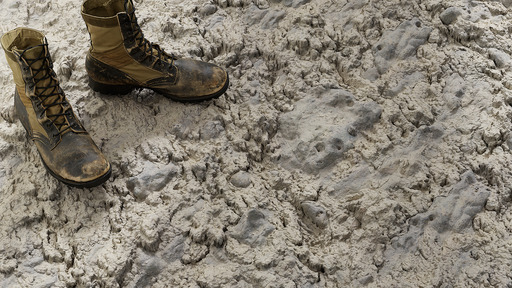 Mudstone preview 1
