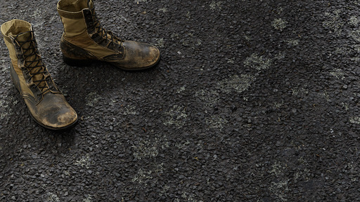 Lichen Road preview 1