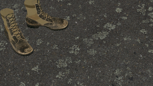 Lichen Road preview 2