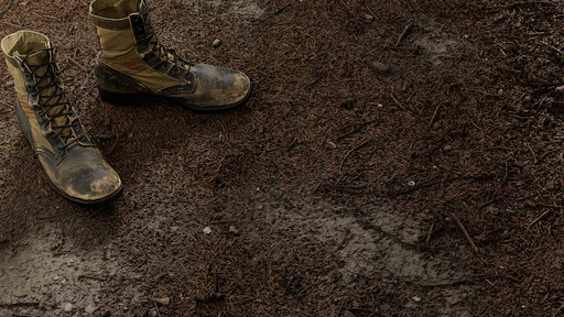 Pine Floor preview 1