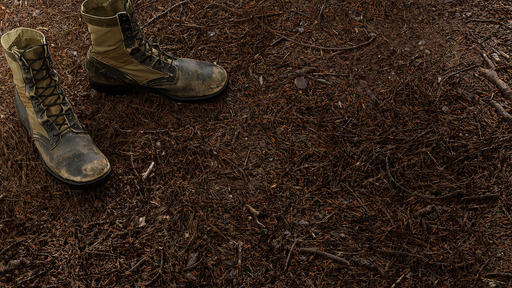 Pine Floor preview 1