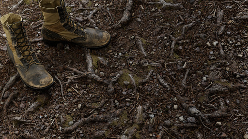 Pine Roots preview 1