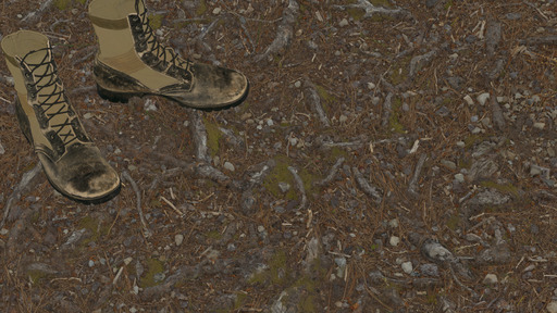 Pine Roots preview 2