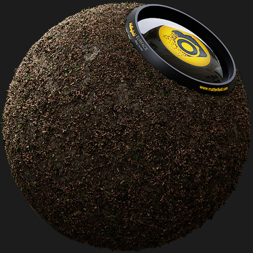 Leafy Dirt